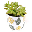 Sunflower Pot for sale, Ceramic Pot for succulents and flowers, Modern style flower pot for sale, Succulent gift decor ideas