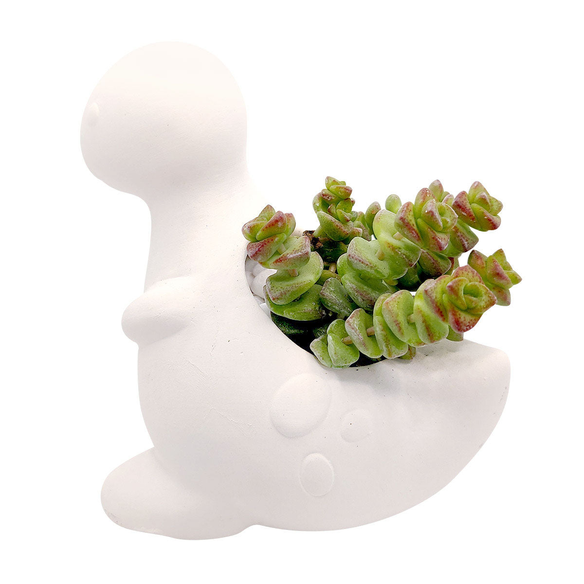 t rex plant pot DIY Ceramic Dinosaur Pot, T-rex Succulent Planter