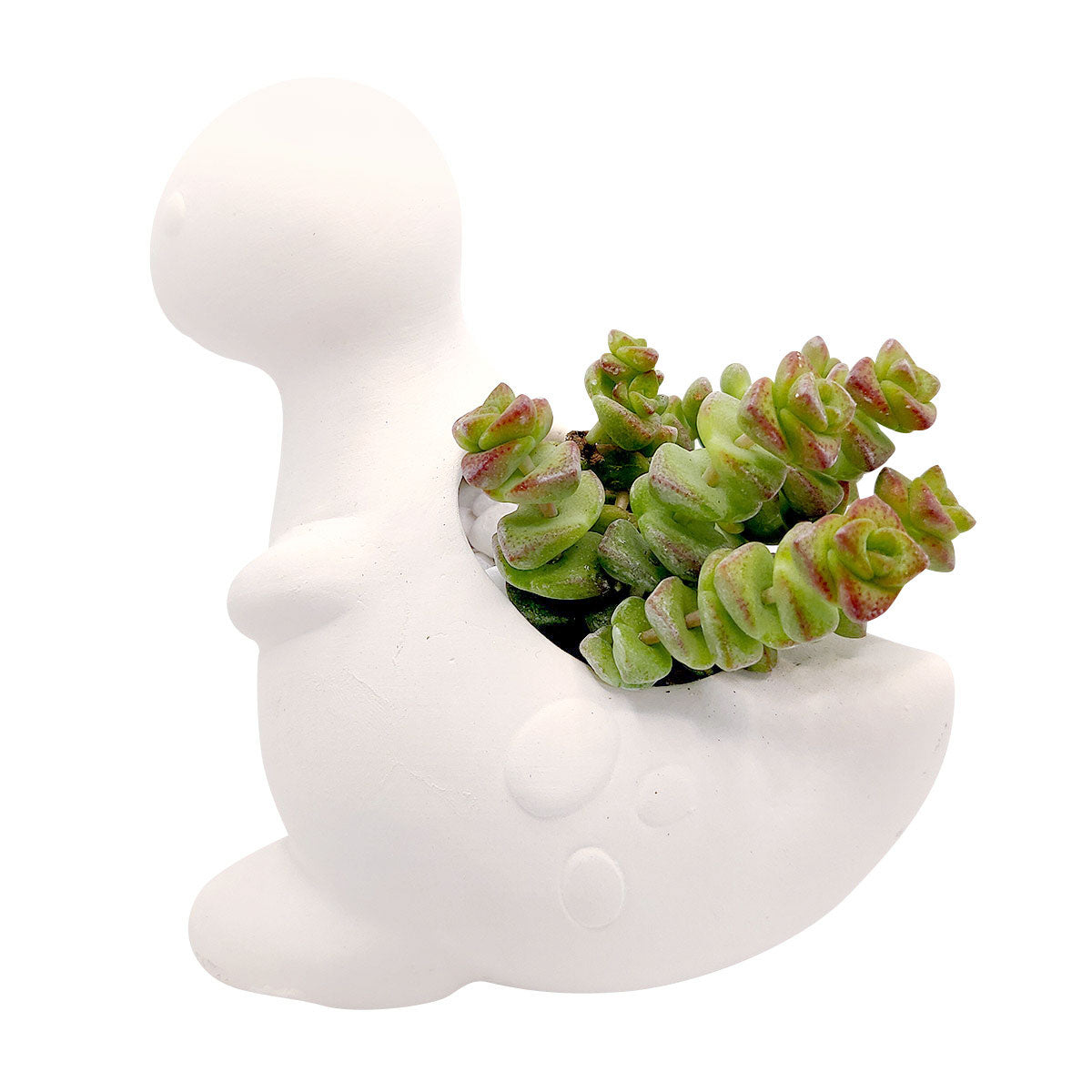 DIY Ceramic Dinosaur Pot for sale, White Ceramic Succulent Planter, Cute Animals Pot, White Succulent Pot, Crafts for Kids, DIY Succulent Gift Ideas