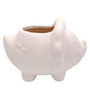 DIY Ceramic Dinosaur Pot for sale, White Animal Succulent Pot, Home Decorative DIY Planter, Succulent Gift Ideas, Crafts for kids, Animal Plant Pot for sale