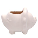 Kid-friendly Succulent Kit for sale, DIY Garden Kit, Kids DIY Garden, At home activities, Kids garden kit diy planters, unique pots for succulent and cactus, succulent pot decor, succulent pot gift ideas, Succulent pot decor ideas, succulent gift ideas, succulent gift set for sale, Succulents Black Friday discount, Succulents Black Friday 2023, christmas gift ideas, succulents for thanksgiving decor, Best Black Friday deals, Black Friday Succulent Online Deals 2023