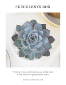Succulents Card