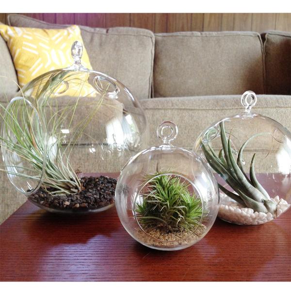 air plant glass containers 2'' Glass Globe Terrarium Pot for Air Plants