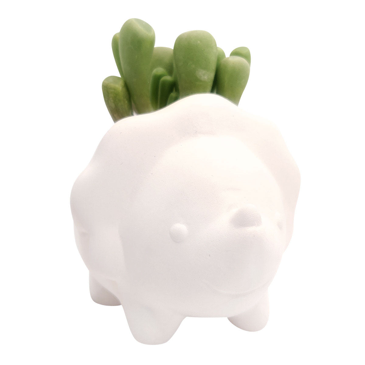 DIY Ceramic Dinosaur Pot for sale, White Animal Succulent Pot, Home Decorative DIY Planter, Succulent Gift Ideas, Crafts for kids, Animal Plant Pot for sale
