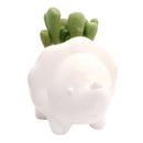 DIY Ceramic Dinosaur Pot for sale, White Animal Succulent Pot, Home Decorative DIY Planter, Succulent Gift Ideas, Crafts for kids, Animal Plant Pot for sale