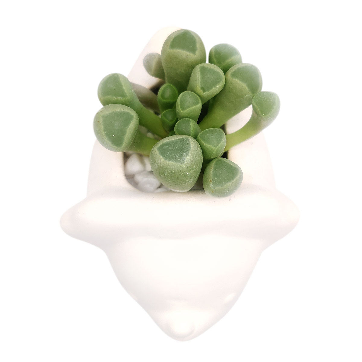 DIY Ceramic Dinosaur Pot for sale, White Animal Succulent Pot, Home Decorative DIY Planter, Succulent Gift Ideas, Crafts for kids, Animal Plant Pot for sale