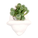 DIY Ceramic Dinosaur Pot for sale, White Animal Succulent Pot, Home Decorative DIY Planter, Succulent Gift Ideas, Crafts for kids, Animal Plant Pot for sale