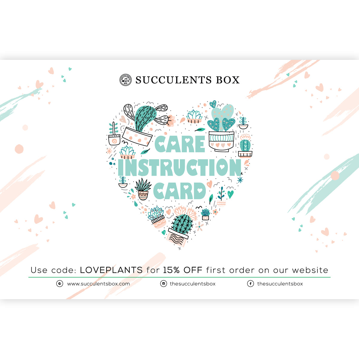Succulent care card for sale, Succulents care guide, Succulents care instruction, How to care for succulent plants