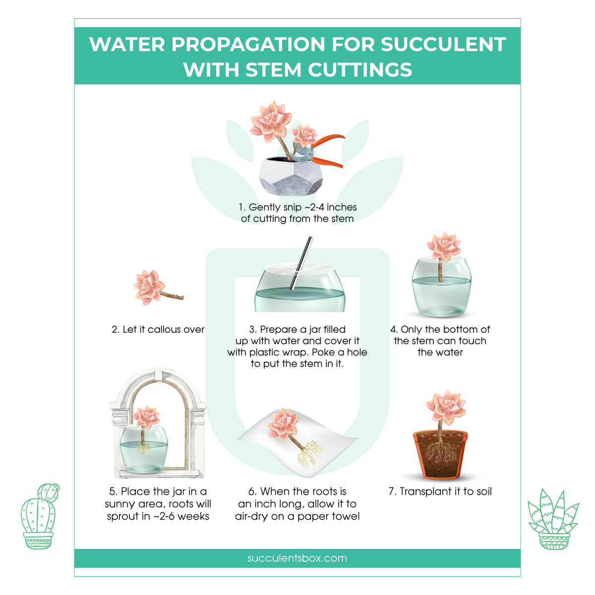 printable succulent care instructions Free Printable Succulent Propagation Care Card | How to Propagate Succulent Plant from Leaves & Cuttings