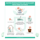 Printable: Succulent Propagation Cards