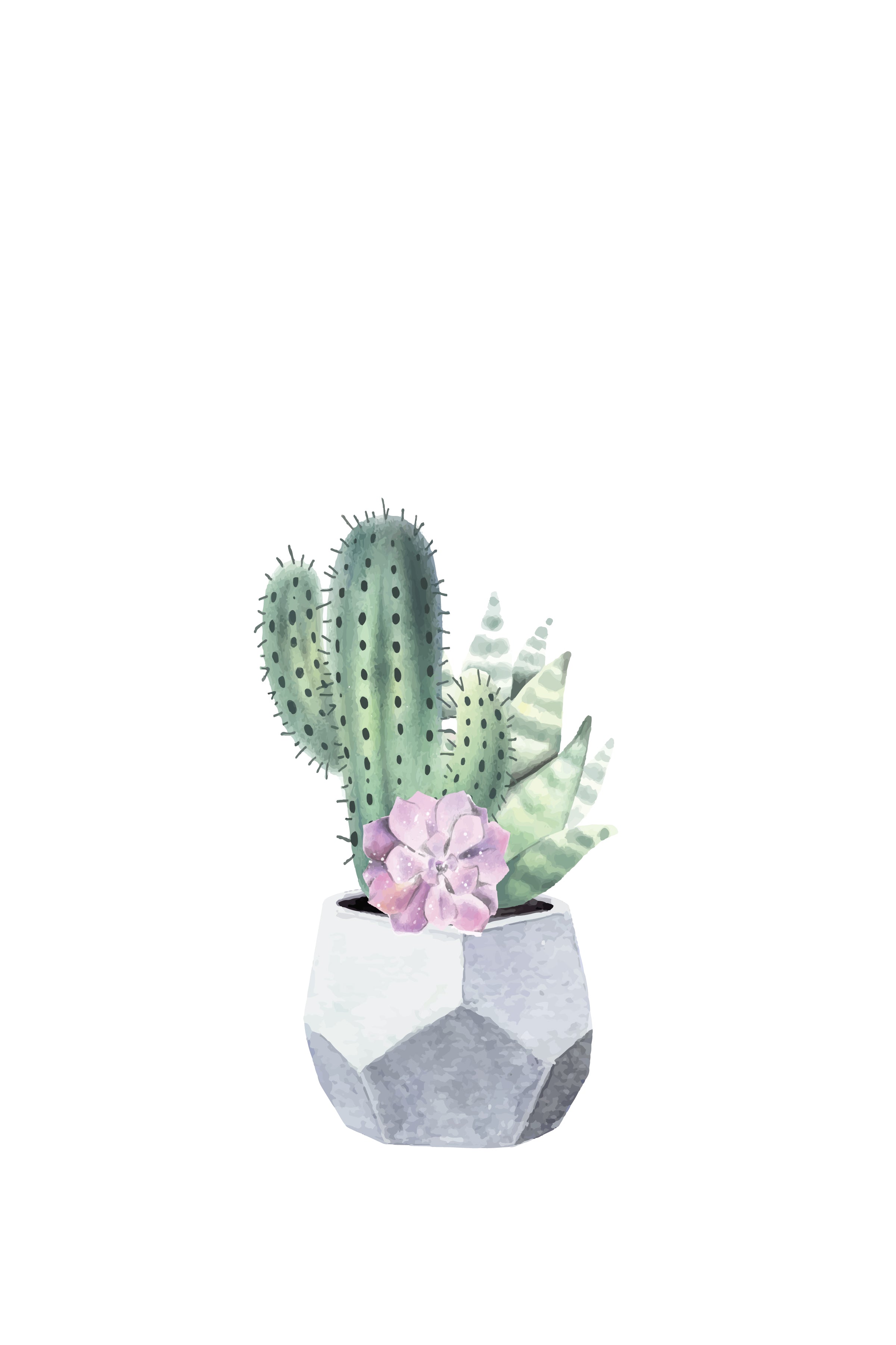 watercolor cactus succulent Printable Watercolor Cactus Posters | Succulent Wall Art | Succulent Gift Ideas
