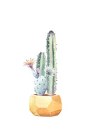 Printable Watercolor Cactus Posters for sale, Succulent Wall Art, Succulent Gift Ideas, Cactus Gifts for sale, Cactus Print Set