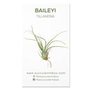 Air Plant ID Cards