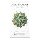 Cactus Succulent ID Cards