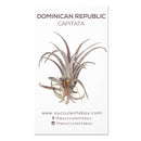 Air Plant ID Cards