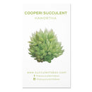 Succulent ID Cards for sale, Airplant ID Cards for sale, Succulent Care Cards, ID Cards for Specific Succulents, Identifying Types of Succulents, Types of Succulent Plants, How to identify Types of succulents, Succulents Gift Ideas, How to care for Types of Succulents. indoor succulents.