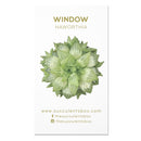 Succulent ID Cards for sale, Airplant ID Cards for sale, Succulent Care Cards, ID Cards for Specific Succulents, Identifying Types of Succulents, Types of Succulent Plants, How to identify Types of succulents, Succulents Gift Ideas, How to care for Types of Succulents. indoor succulents.