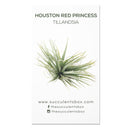 Air Plant ID Cards