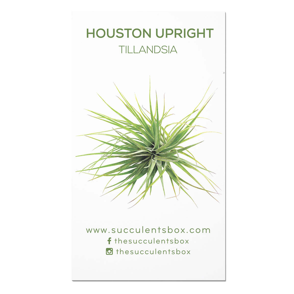 Succulent ID Cards for sale, Airplant ID Cards for sale, Succulent Care Cards, ID Cards for Specific Succulents, Identifying Types of Succulents, Types of Succulent Plants, How to identify Types of succulents, Succulents Gift Ideas, How to care for Types of Succulents