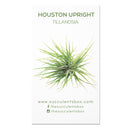 Air Plant ID Cards