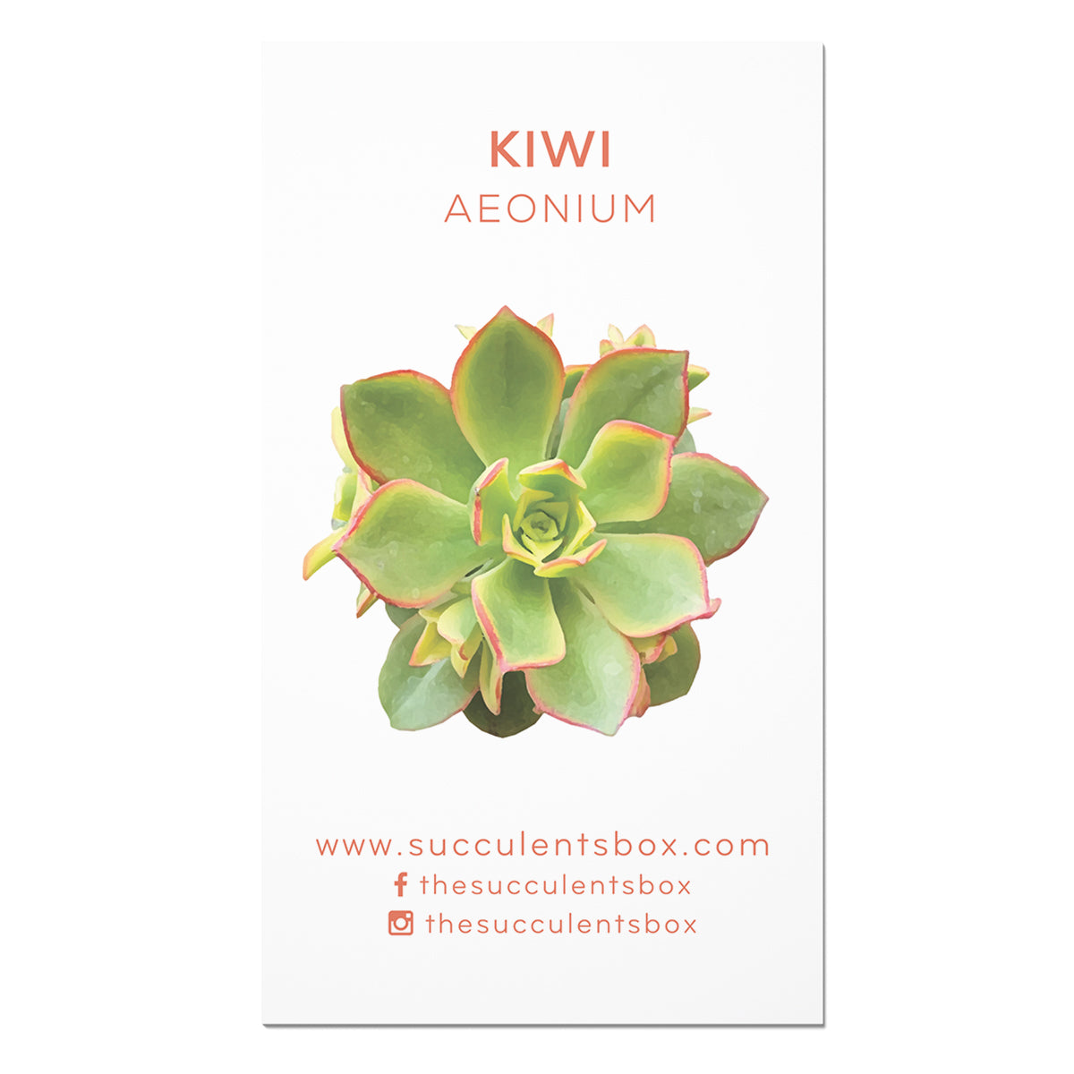 Succulent ID Cards for sale, Airplant ID Cards for sale, Succulent Care Cards, ID Cards for Specific Succulents, Identifying Types of Succulents, Types of Succulent Plants, How to identify Types of succulents, Succulents Gift Ideas, How to care for Types of Succulents