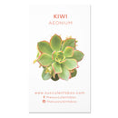 Succulent ID Cards for sale, Airplant ID Cards for sale, Succulent Care Cards, ID Cards for Specific Succulents, Identifying Types of Succulents, Types of Succulent Plants, How to identify Types of succulents, Succulents Gift Ideas, How to care for Types of Succulents