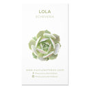 Echeveria Succulent ID Cards
