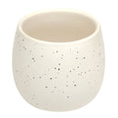 Mini ceramic pot for succulents and cacti, Modern design pot, Succulent and cactus pots for sale, Succulent gift decor ideas, Elegant flower pots, White Egg Pot for Sale, Elegant Plain Ceramic Pot for plants and flowers