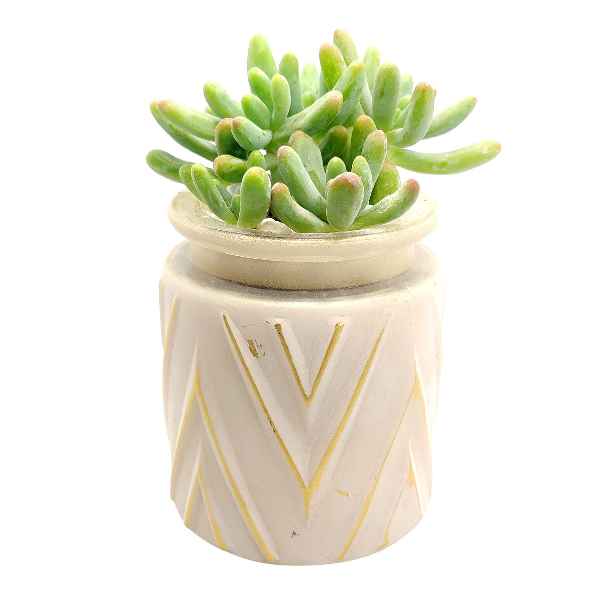 Pot for sale, Mini pot for succulent, Succulent pot decor ideas, White Chevron Pattern pot, Flower pot for sale, glass pots for planting, succulent gift for holiday