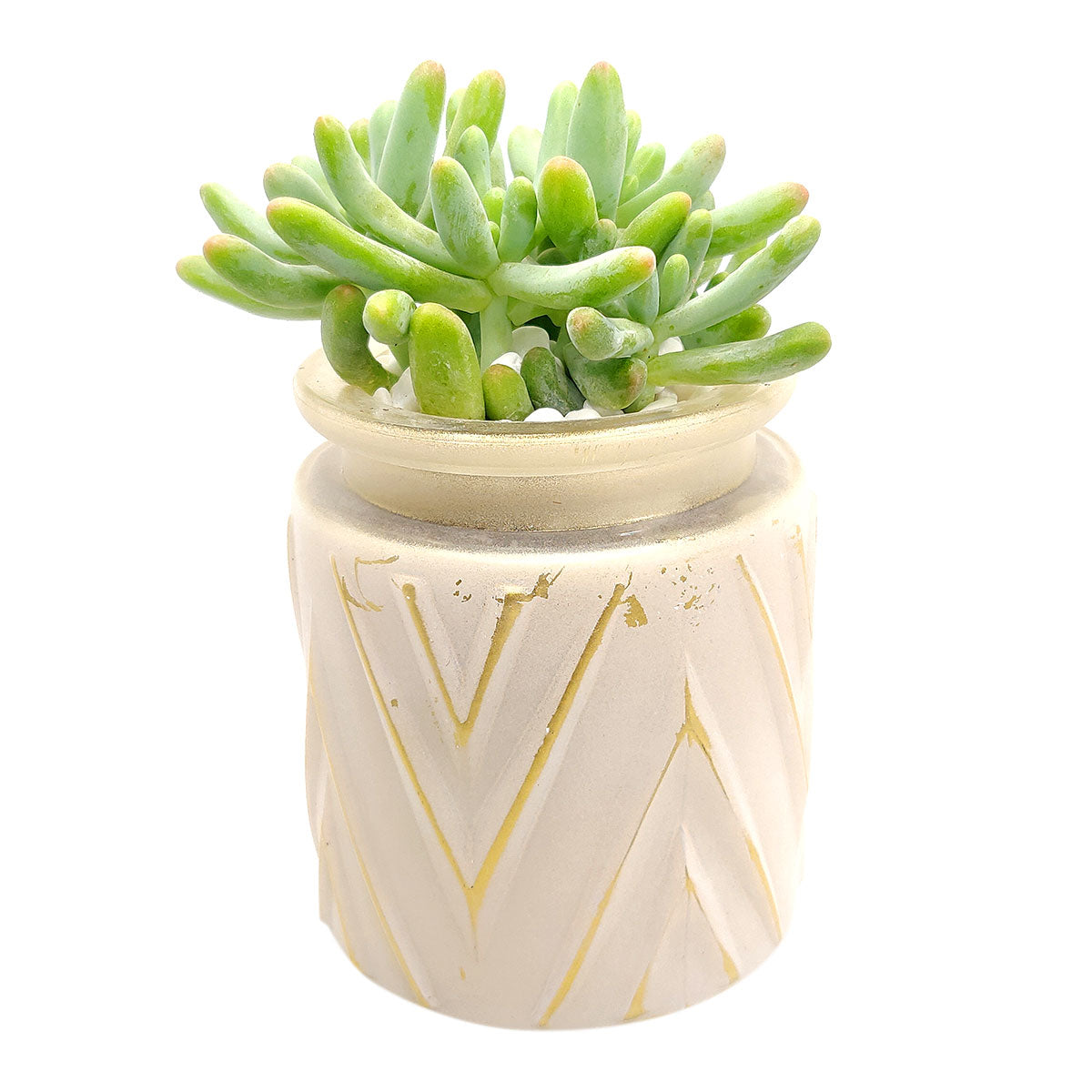 Pot for sale, Mini pot for succulent, Succulent pot decor ideas, White Chevron Pattern pot, Flower pot for sale, glass pots for planting, succulent gift for holiday