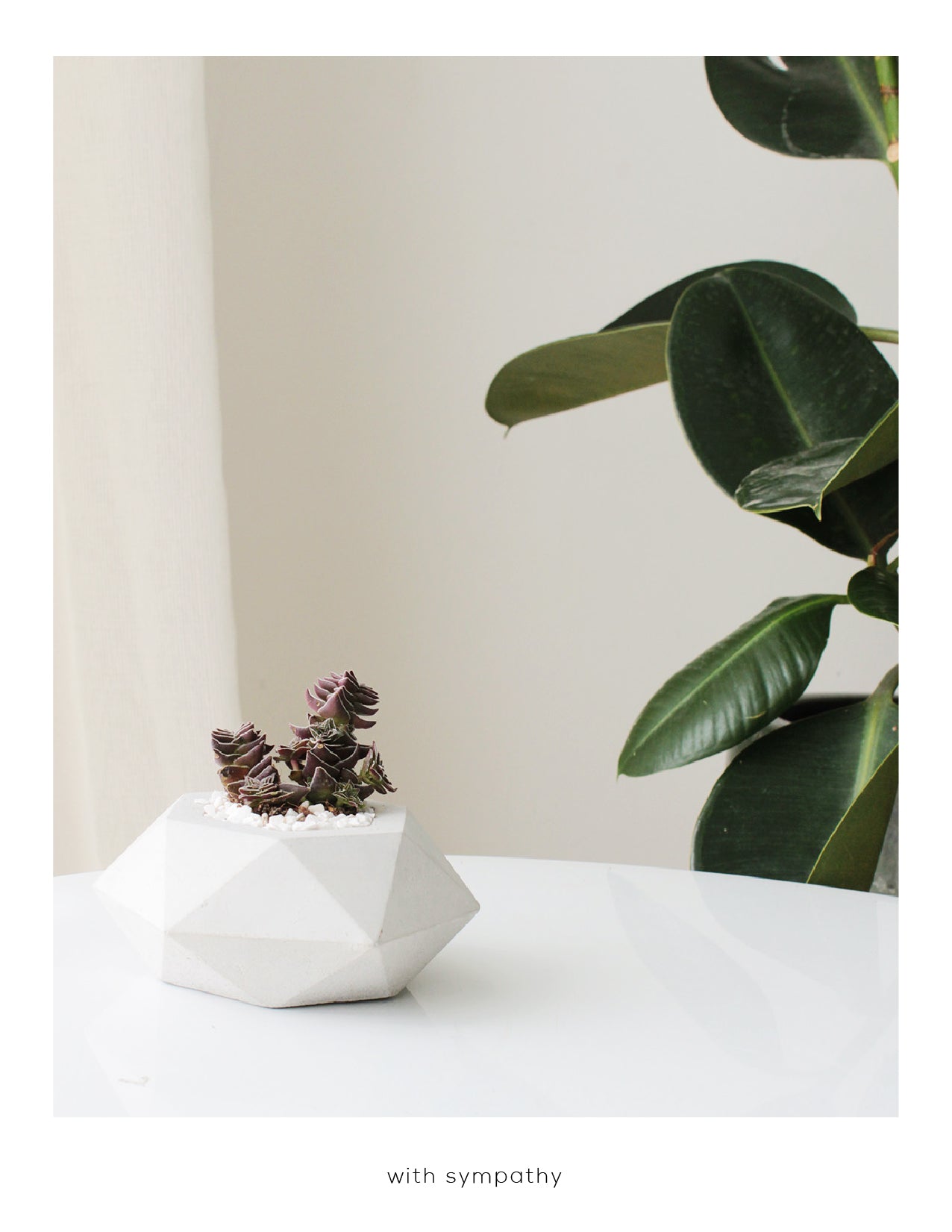 sympathy succulent delivery With Sympathy Card | Greeting Card | Succulents Card