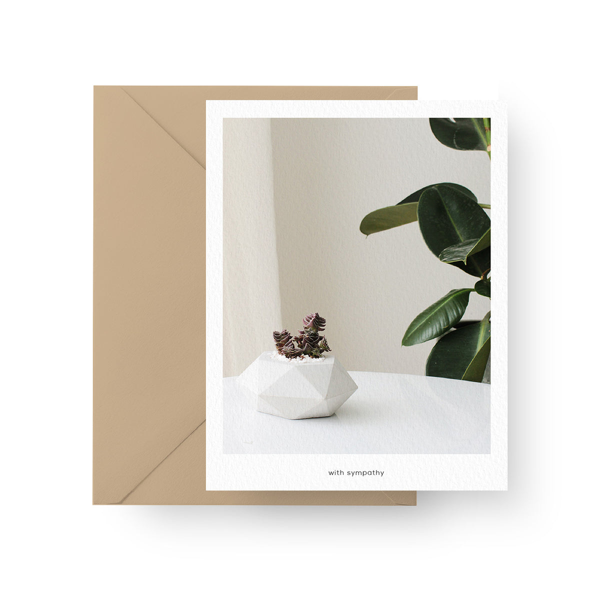 Succulents Card for sale