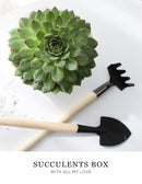 Succulents Card Favor