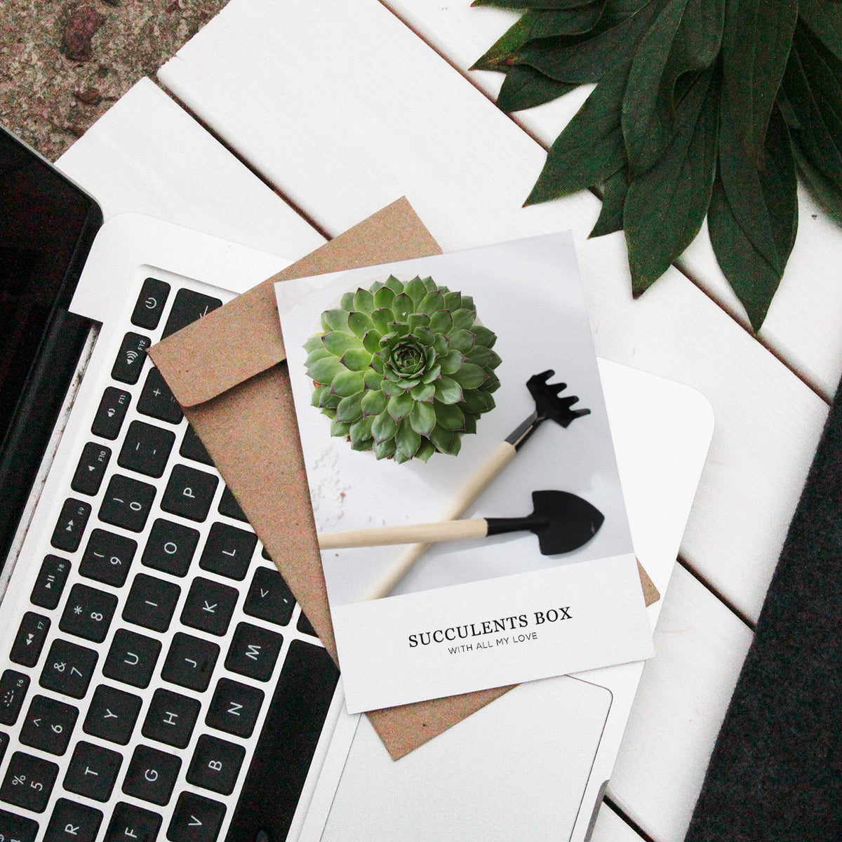 Succulents Card for sale