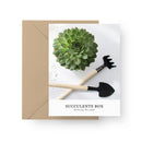 Succulents Card Favor