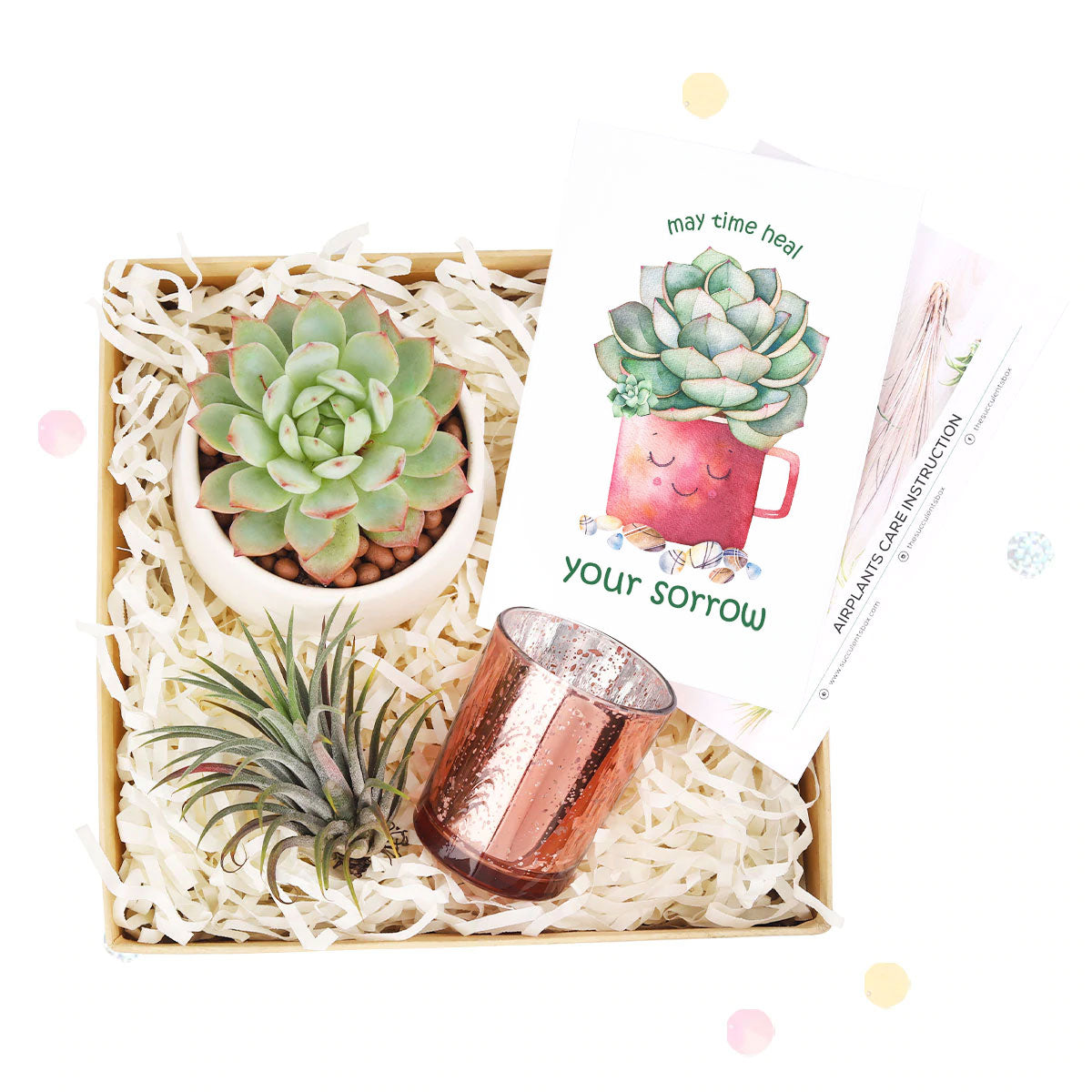 Thank you gift for your staff in 2025, Customizable Gift Boxes for employees and clients, Office gift for employees, Employee appreciation day 2025 ideas, Succulent Plants for Clients &amp; Employees for sale