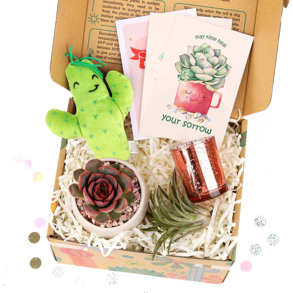 Corporate Gift Succulents For Sale Online, Succulent Thank You Gift Ideas, Thank you gift for your staff in 2023, Customizable Gift Boxes for employees and clients, EcoFriendly Succulent Gift Box for Employee, Employee appreciation day 2023 ideas, Succulent Plants for Clients &amp; Employees for sale