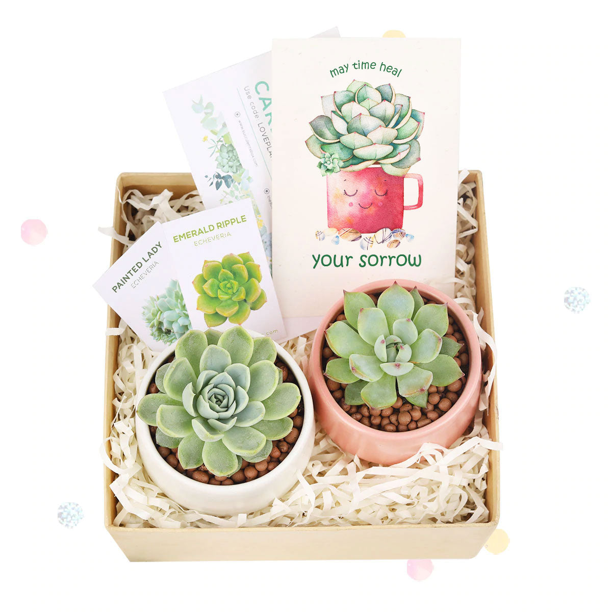 Office gift for employees, Employee appreciation day 2025 ideas, Succulent Plants for Clients &amp; Employees for sale, Corporate Gift Succulents For Sale Online, Succulent Thank You Gift Ideas, Thank you gift for your staff in 2025, Customizable Gift Boxes for employees and clients, EcoFriendly Succulent Gift Box for Employee
