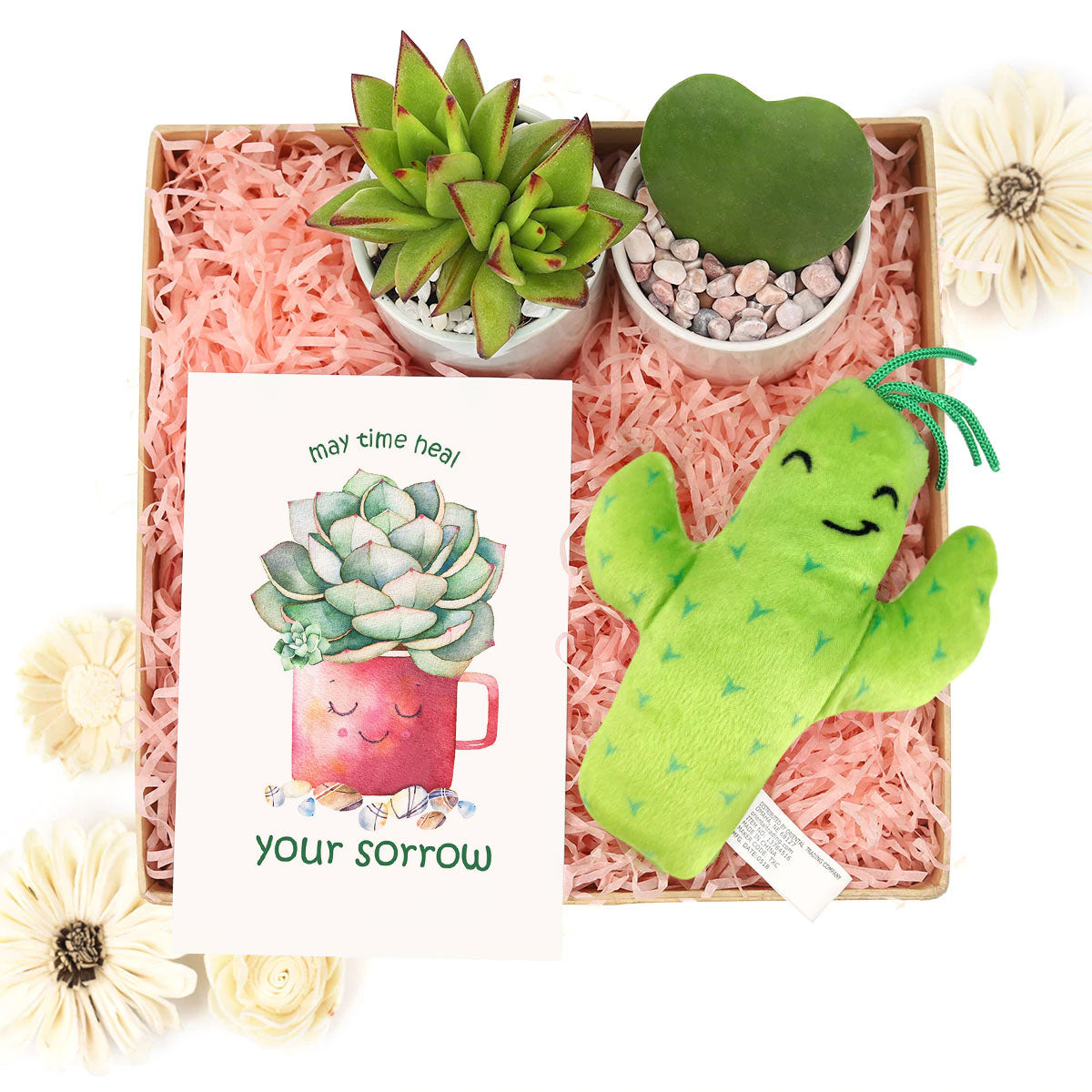EcoFriendly Succulent Gift Box for Employee, Corporate Gift Succulents For Sale Online, Succulent Thank You Gift Ideas, Thank you gift for your staff in 2023, Customizable Gift Boxes for employees and clients, Office gift for employees, Employee appreciation day 2023 ideas, Succulent Plants for Clients &amp; Employees for sale