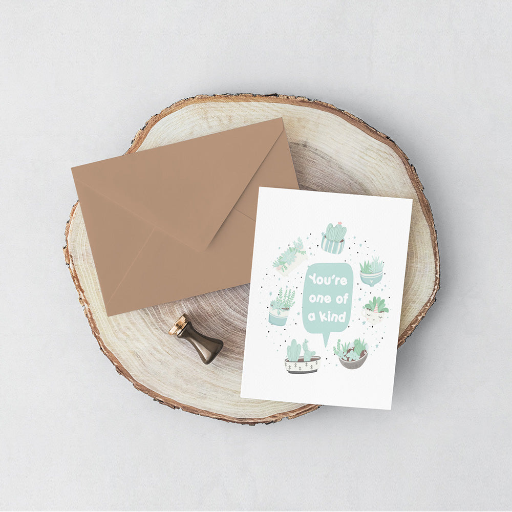 Succulents Gift Favor