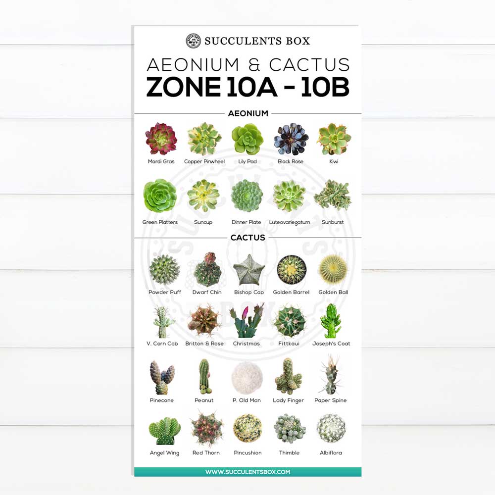 Printable Arts: Types of Succulent Zones