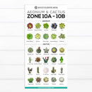 best succulent image, collection of Printable Succulents Art, digital printable succulent, choosing succulent for zone, Succulent designs Zone, Succulents Hardiness Zone, Printable Arts: Types of Succulent Zones for sale, Succulent Printable, succulent printable selection, succulent decor idea, succulent gift, succulent art
