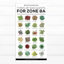 best succulent image, collection of Printable Succulents Art, digital printable succulent, choosing succulent for zone, Succulent designs Zone, Succulents Hardiness Zone, Printable Arts: Types of Succulent Zones for sale, Succulent Printable, succulent printable selection, succulent decor idea, succulent gift, succulent art