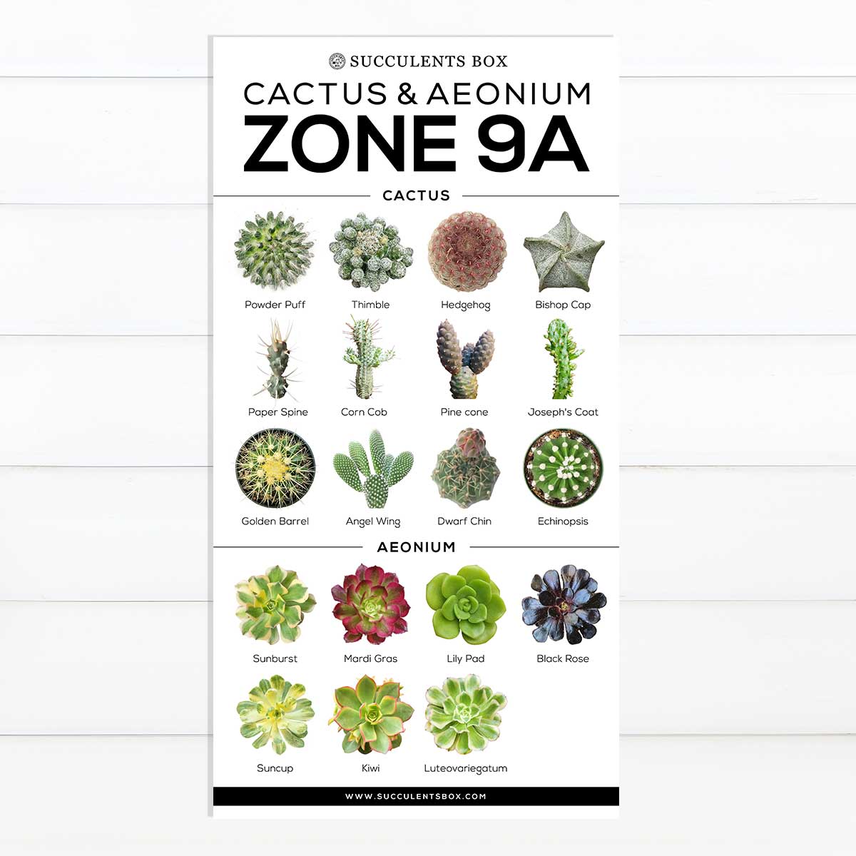 succulents zone 9a Printable Arts: Types of Succulent Zones | Choosing Hardy Succulents for Zone
