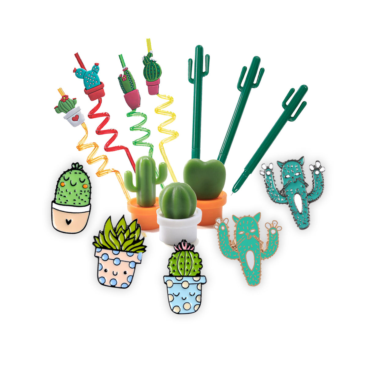 Mystery Succulent Box for sale, Surprise Box, Premium succulent gift box, Gift box for succulent lovers