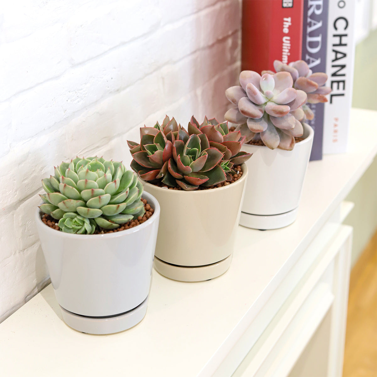 Pack of 3 Minimalist Ceramic Pots (White, Gray and Oatmeal)