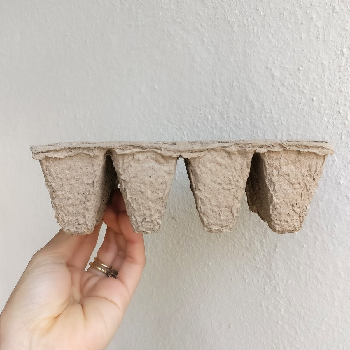 peat pots, paper pot, natural pot, flower pot, succulent pot