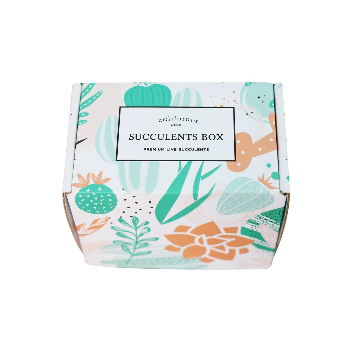 Succulents for Sale, Types of Succulents, Succulents Shop in California, Succulents and Cactus Plants, Cactus Box, Subscription Box with Care Instruction, Succulent Subscription Box