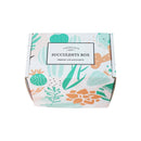 Succulents for Sale, Types of Succulents, Succulents Shop in California, Succulents and Cactus Plants, Cactus Box, Subscription Box with Care Instruction, Succulent Subscription Box
