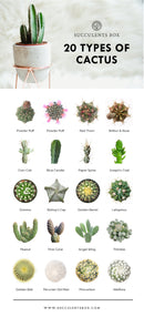Types of Succulents Printable Art for sale, Printable Cactus Art, Succulents Digital Download, Succulents Home Office Decor, Succulents Gift Ideas, Modern Wall Art Decor, Succulents Printable Poster, printable art cacti download home decor, Types of Haworthia Succulents for sale